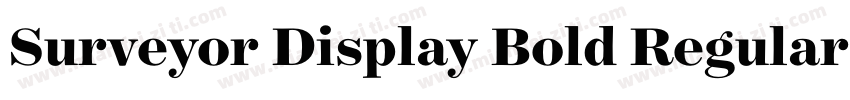 Surveyor Display Bold Regular字体转换